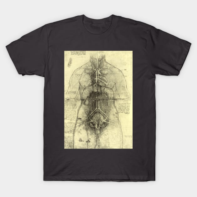 Human Anatomy Female Torso by Leonardo da Vinci T-Shirt by MasterpieceCafe